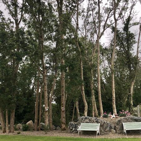 Tir Na Spideoga Villa Ennis Bagian luar foto