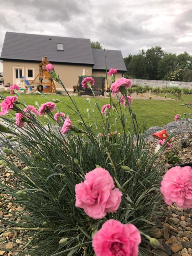 Tir Na Spideoga Villa Ennis Bagian luar foto