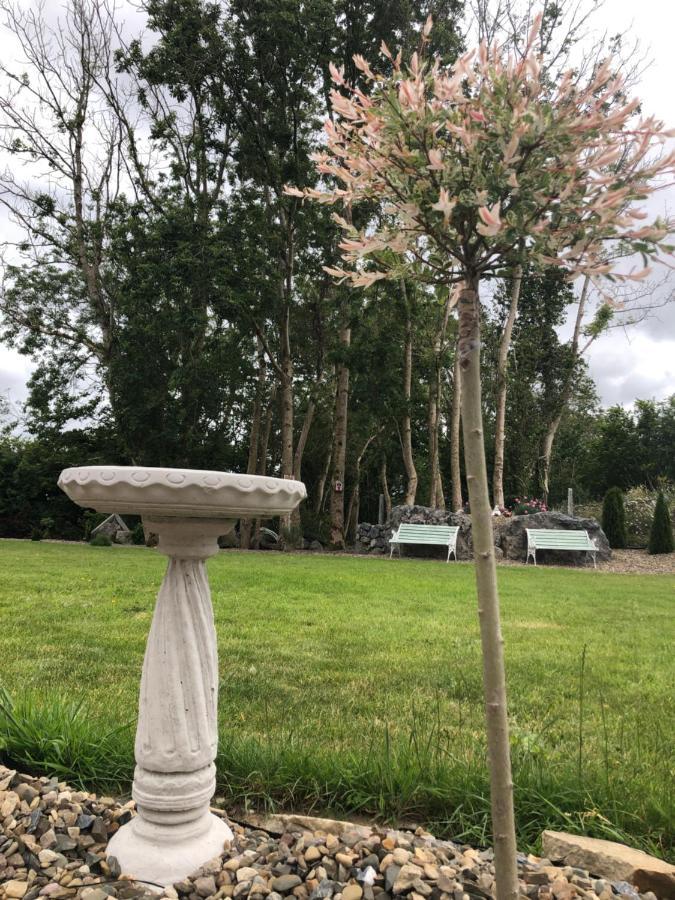 Tir Na Spideoga Villa Ennis Bagian luar foto