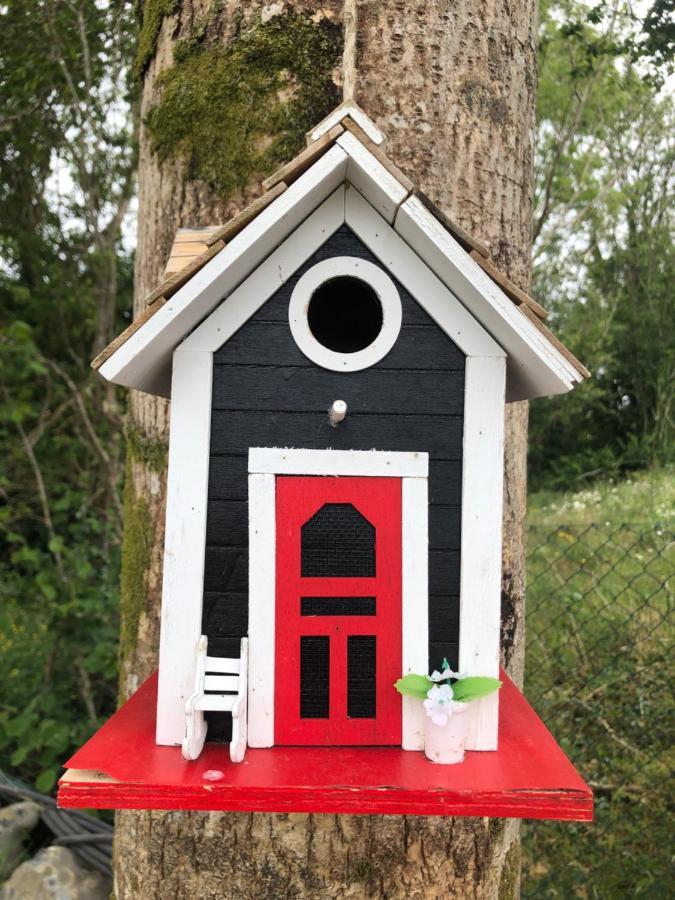 Tir Na Spideoga Villa Ennis Bagian luar foto
